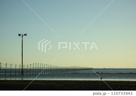 船橋三番瀬夕景 110733943