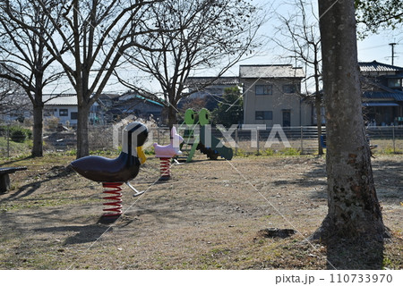 公園の遊具 公園の遊具 110733970