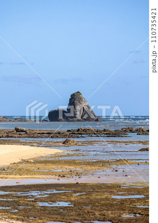 奄美大島　土浜海岸　節田立神 110735421