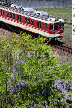 山藤と神戸電鉄のローカル電車 110735493