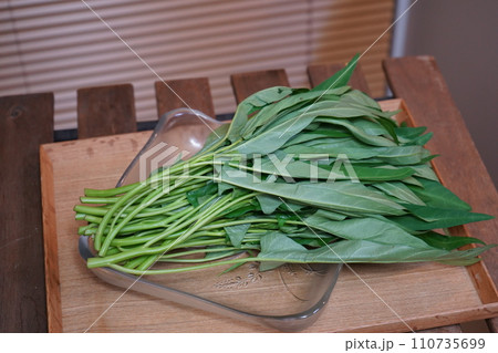 野菜　空心菜 110735699