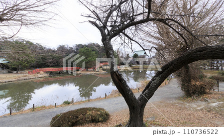 神奈川県横浜市金沢八景の近所にある北条氏ゆかりの称名寺・称名寺の冬 神奈川県横浜市金沢八景の近所にある北条氏ゆかりの称名寺・称名寺の冬 110736522