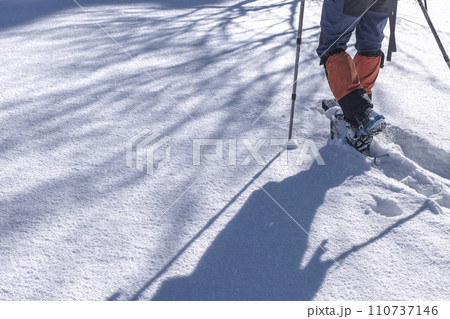 スノーシューで雪の中を歩く 大山鏡ヶ成 スノーシューで雪の中を歩く 大山鏡ヶ成 110737146