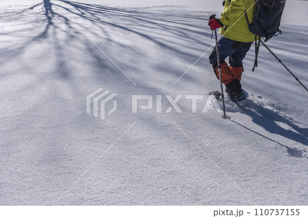 スノーシューで雪の中を歩く　大山鏡ヶ成 110737155