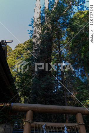 《熊本県》幣立神宮(へいたてじんぐう) 《熊本県》幣立神宮(へいたてじんぐう) 110737841