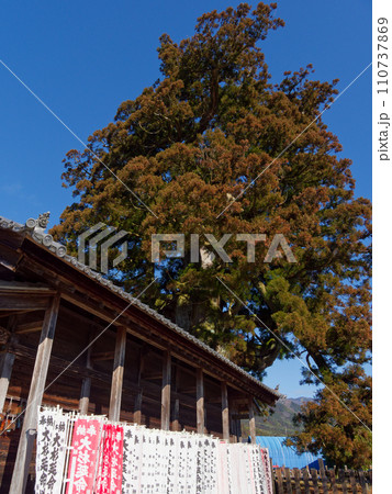 かしも大杉地蔵尊と国指定天然記念物加子母大杉 110737869