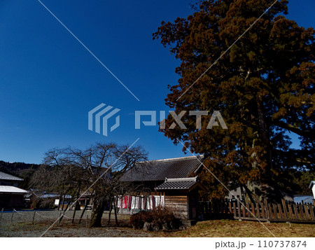 かしも大杉地蔵尊と国指定天然記念物加子母大杉 110737874