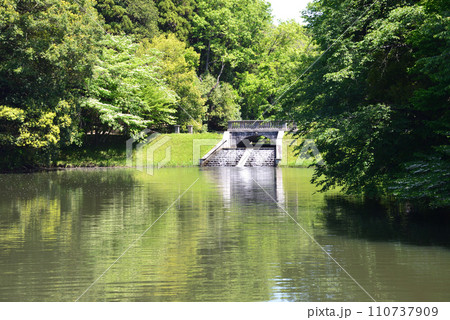 七ツ洞公園 2023-5-4 #67 七ツ洞公園 2023-5-4 #67 110737909