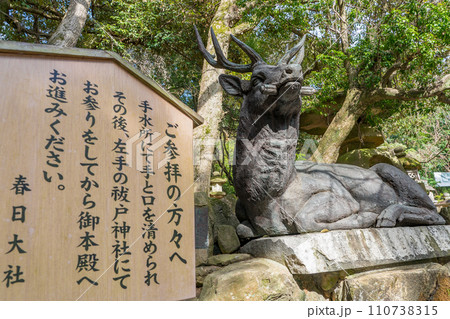奈良　春日大社の注意書き（奈良県奈良市春日野町）※作品コメント欄に撮影位置 110738315