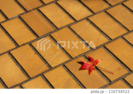 背景素材・テクスチャー・イメージ素材 110738522