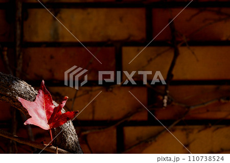 背景素材・テクスチャー・イメージ素材 背景素材・テクスチャー・イメージ素材 110738524