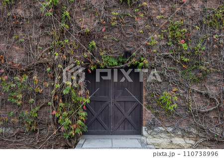 古い扉　photo of old wooden retro door 110738996