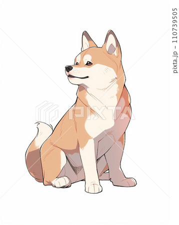 shiba 
