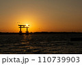 弁天島海浜公園の夕陽と鳥居と鳥 110739903