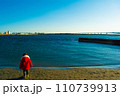 弁天島海浜公園　子どもの後ろ姿 110739913