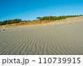 中田島砂丘の風紋と景色 110739915