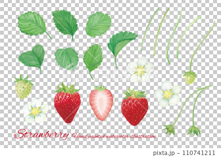 水彩畫草莓的插圖 110741211
