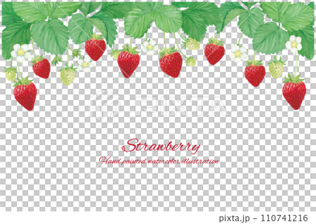 水彩で描いた可愛いいちごのベクター背景イラスト 水彩で描いた可愛いいちごのベクター背景イラスト 110741216