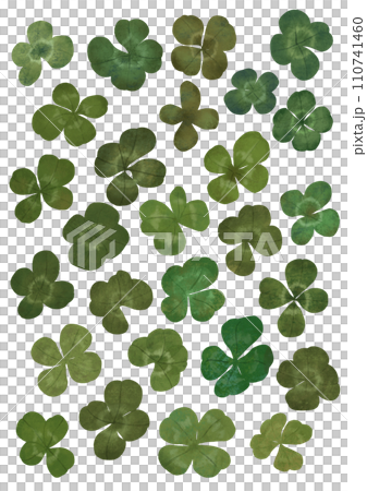 手繪三葉草插畫 110741460