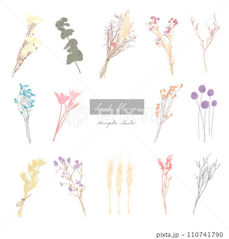 ナチュラル　ドライフラワー 110741790