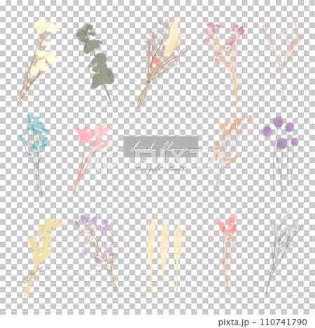 ナチュラル　ドライフラワー 110741790