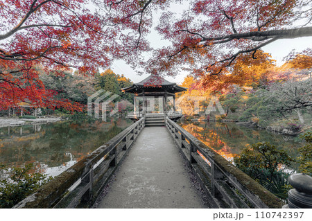 成田山公園の浮御堂と紅葉 成田山公園の浮御堂と紅葉 110742397