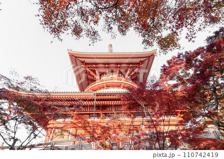 紅葉と平和大塔 横 紅葉と平和大塔 横 110742419