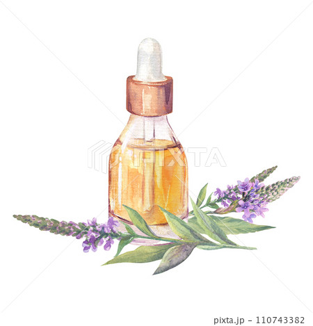 Watercolor illustration of twigs of flowers and leaves of verbena officinalis on a white background. A bottle of verbena medicinal oil. For printing on labels and packaging, postcards, textiles. Watercolor illustration of twigs of flowers and leaves of verbena officinalis on a white background. A bottle of verbena medicinal oil. For printing on labels and packaging, postcards, textiles. 110743382