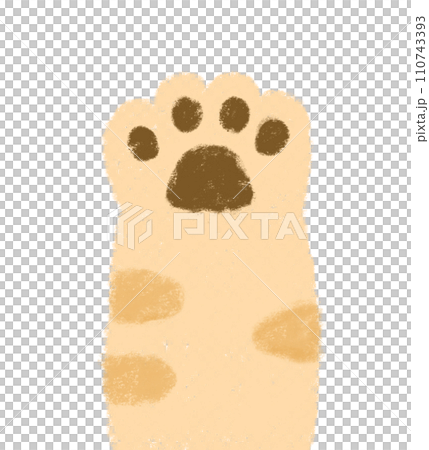 Brown tabby cat paw crayon touch 110743393