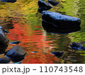 川面に映る秋のいろどり 川面に映る秋のいろどり 110743548