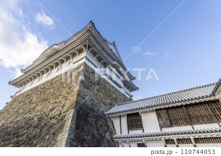 青空と国宝姫路城　大天守　兵庫県姫路市 110744053