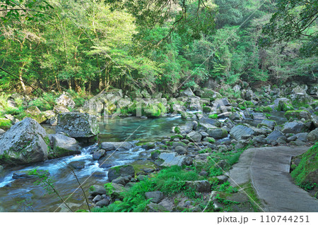 【雄川滝 (遊歩道)】 鹿児島県肝属郡錦江町田代川原 【雄川滝 (遊歩道)】 鹿児島県肝属郡錦江町田代川原 110744251