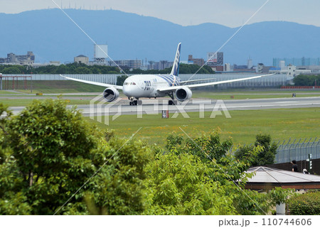 ANAボーイング787特別塗装機（伊丹空港にて） 110744606