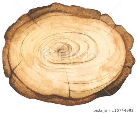 Wooden slice illustration. Watercolor style. 110744992
