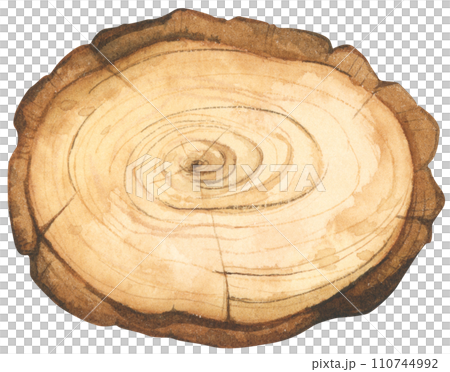 Wooden slice illustration. Watercolor style. 110744992