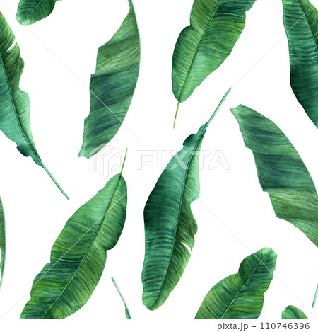 Watercolor seamless pattern with banana tree leaves. Hand drawn illustration isolated on white background. For wrapping wallpaper fabric textile. Watercolor seamless pattern with banana tree leaves. Hand drawn illustration isolated on white background. For wrapping wallpaper fabric textile. 110746396
