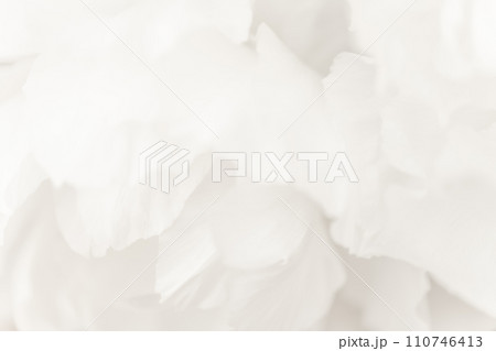 花びら・エレガント 背景素材 花びら・エレガント 背景素材 110746413
