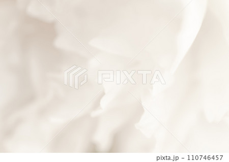 花びら・エレガント 背景素材 110746457