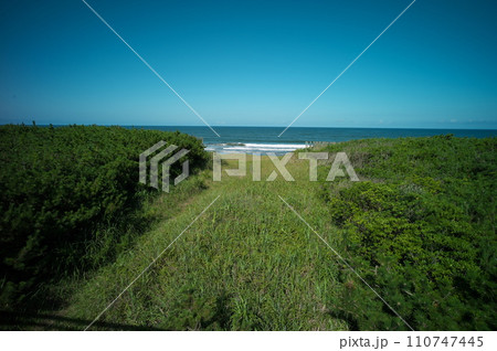 鉾田市大竹海岸 鉾田市大竹海岸 110747445