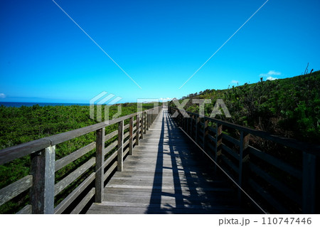 鉾田市大竹海岸 鉾田市大竹海岸 110747446