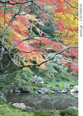 秋の曹源池 南禅院 南禅寺 秋の曹源池 南禅院 南禅寺 110748039