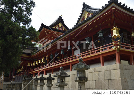 石清水八幡宮 御本殿【国宝】 石清水八幡宮 御本殿【国宝】 110748265