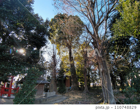 埼玉県熊谷市太井のおおはんな様　太井榛名神社 110748829