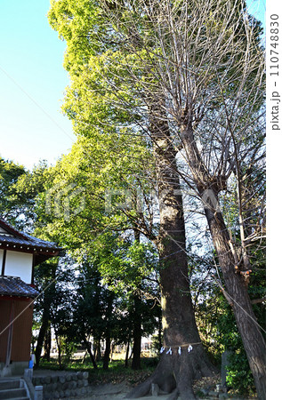 埼玉県熊谷市太井のおおはんな様　太井榛名神社 110748830