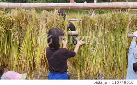 自然乾燥　〜Natural drying 110749016