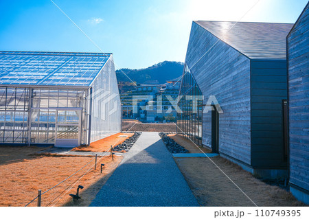VISON(1月) 110749395