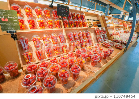 VISON(1月) VISON(1月) 110749454