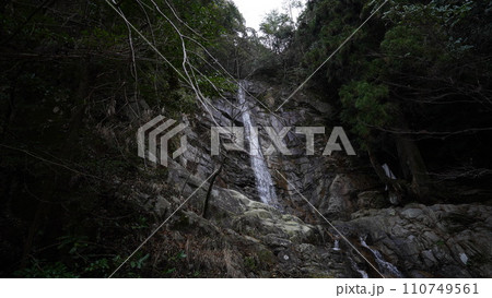 福智山の白糸の滝 福智山の白糸の滝 110749561