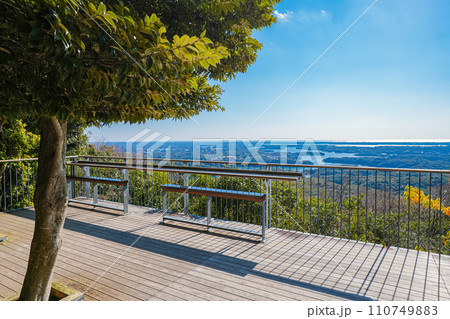 横山展望台(1月) 110749883