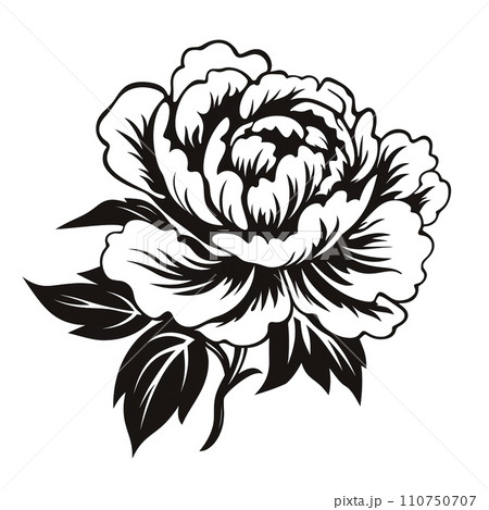 牡丹の花のイラスト　モノクロ「AI生成画像」 110750707